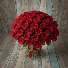 Букет 55 Красных роз Фридом #REPLACE_PRED# Беляевка