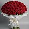 Букет 101 Красная роза Блэк Мэджик в Беляевка