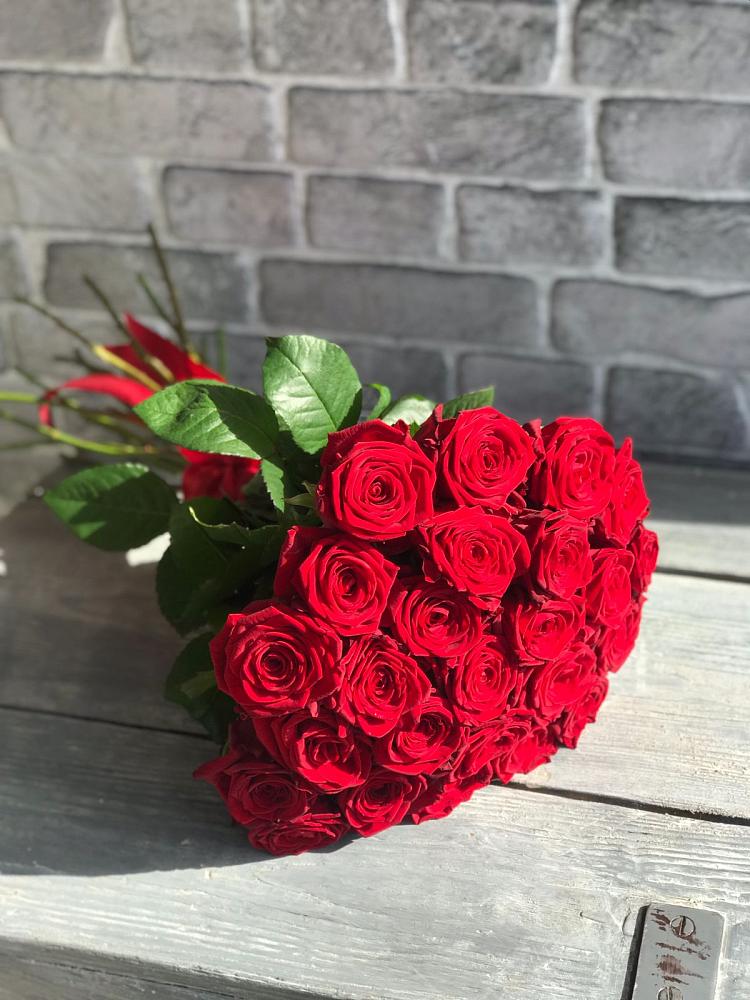 Букет Красные розы Фридом в Беляевка