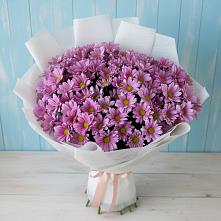 Букет цветов из:  Хризантемы в Беляевка