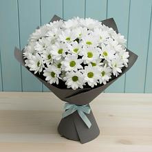 Букет цветов из:  Хризантемы в Беляевка