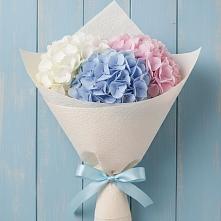 Букет цветов из:  Гортензия в Беляевка