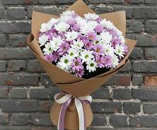 Букет цветов из:  Хризантемы в Беляевка