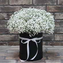 Цветочная композиция из Гипсофила в шляпной коробке #REPLACE_PRED# Беляевка