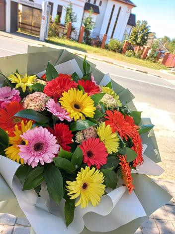 Букет цветов из: Герберы в Беляевка