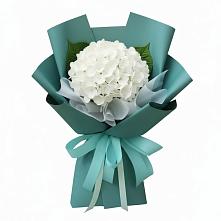 Букет цветов из:  Гортензия в Беляевка